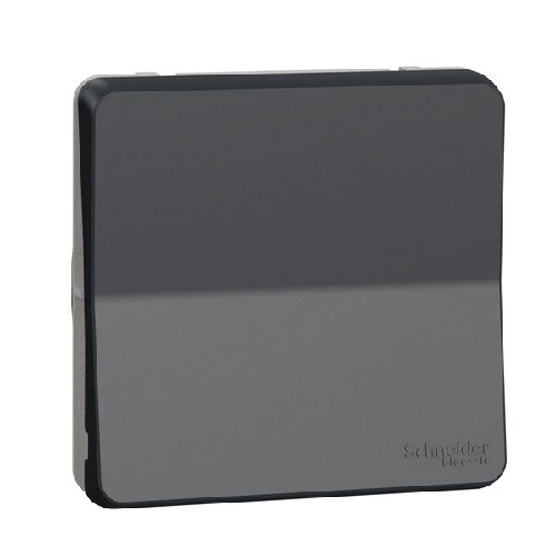 Διακόπτης Μπουτόν Schneider