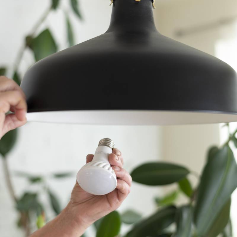 Ποιες λάμπες είναι πιο οικονομικές;