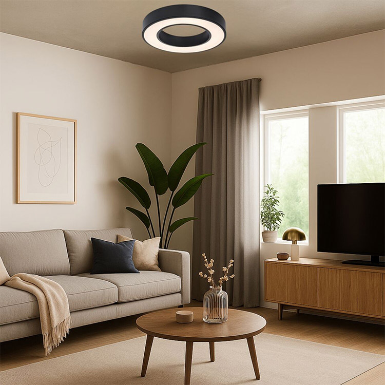 Cirano πλαφονιέρα οροφής Led 24W 3CCT 40cm μαύρη (71360) - Image 6