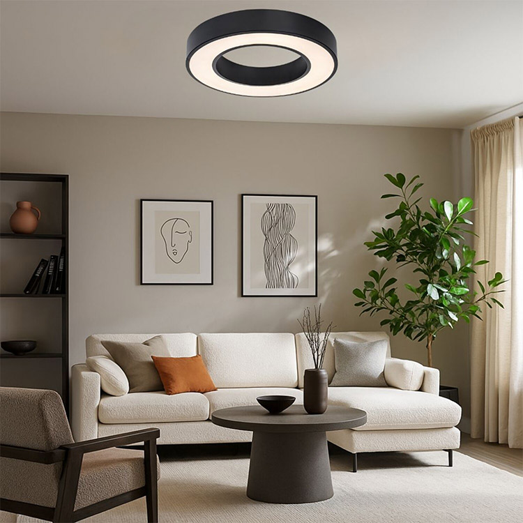 Cirano πλαφονιέρα οροφής Led 45W CCT 60cm μαύρη με τηλεχειριστήριο (71361) - Image 8